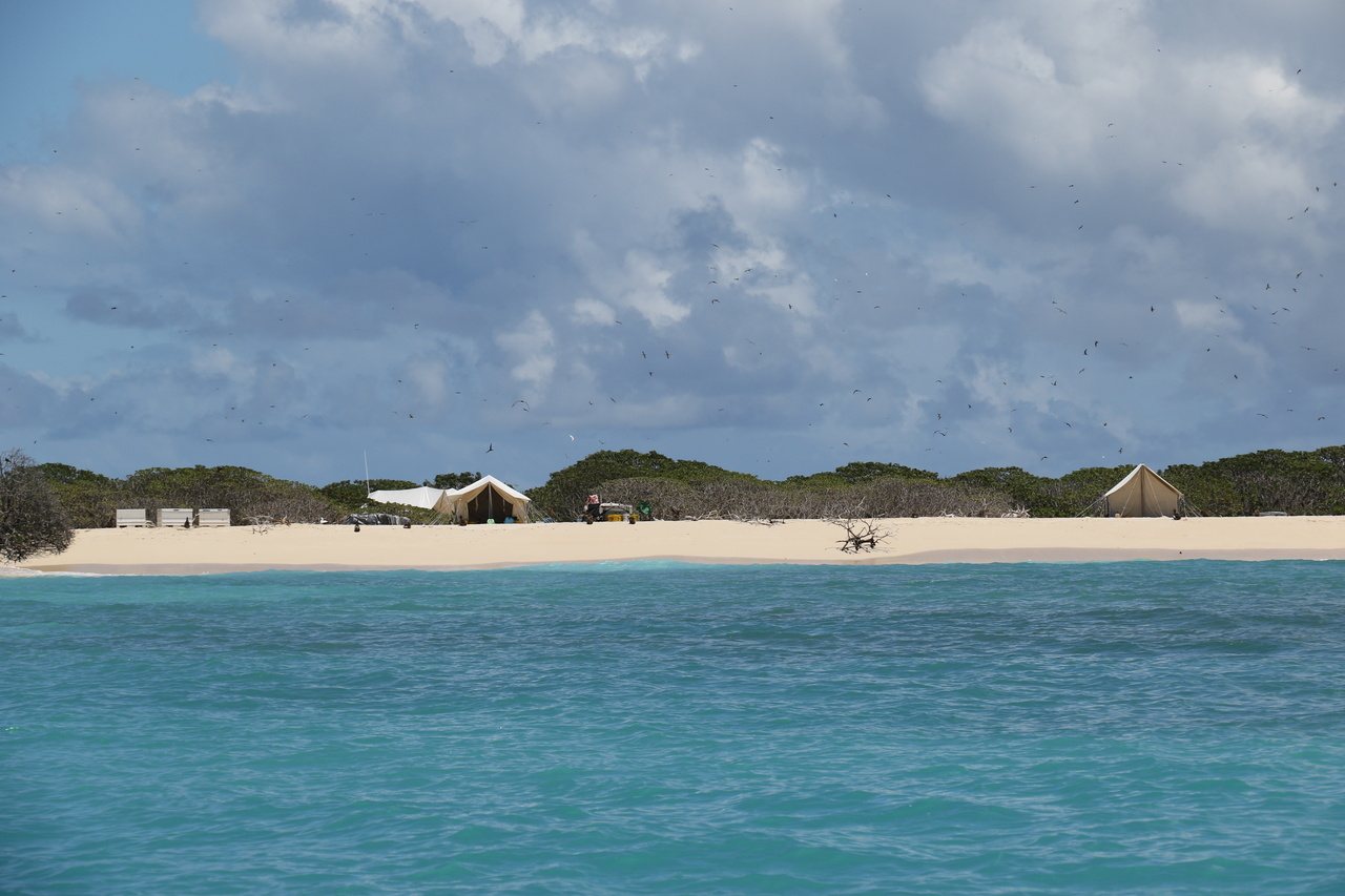 Field camp and beach on Lisianski Island