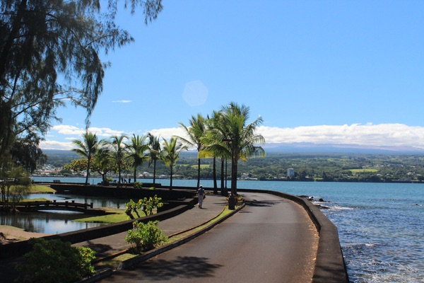 Palm-lined seawall path along Hilo Bay at Liliʻuokalani Gardens