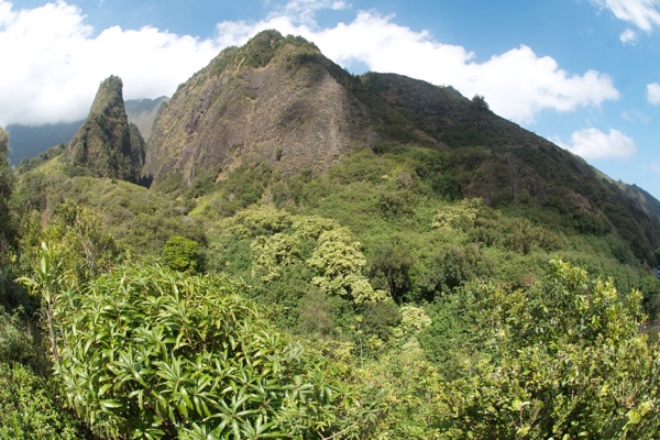 Deep green ridges rising above ʻĪao Valley