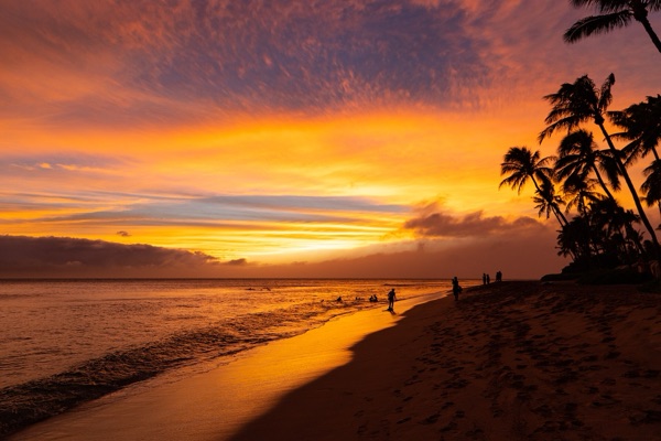 Sunset over Kāʻanapali Beach, with palms silhouetted on the shore