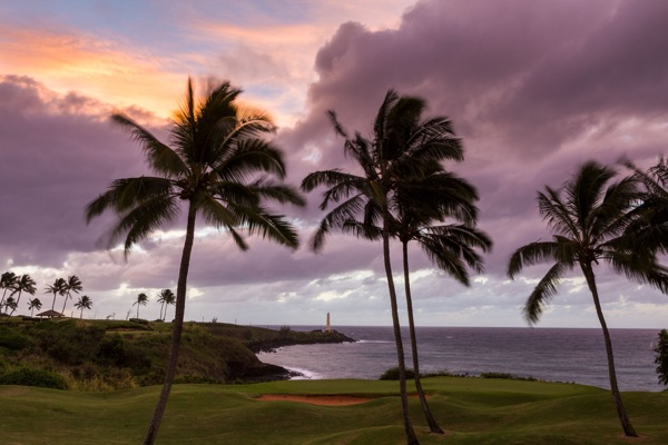 Palms at twilight with the Ninini Point lighthouse in the distance