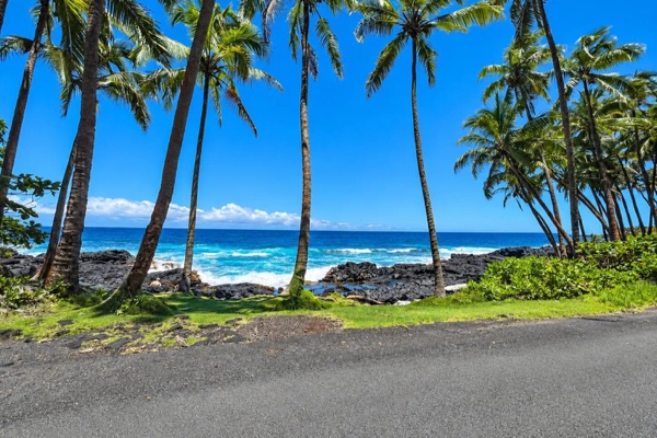 Coconut palms and black lava rock along the Puna coast road