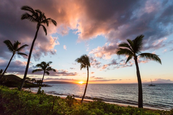Palms framing the sun setting over the water at Wailea