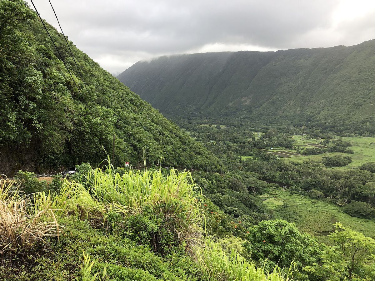 View from partway down the steep Waipiʻo Valley Road: a green valley wall on the left and the flat valley floor with fields spreading inland under cloud.