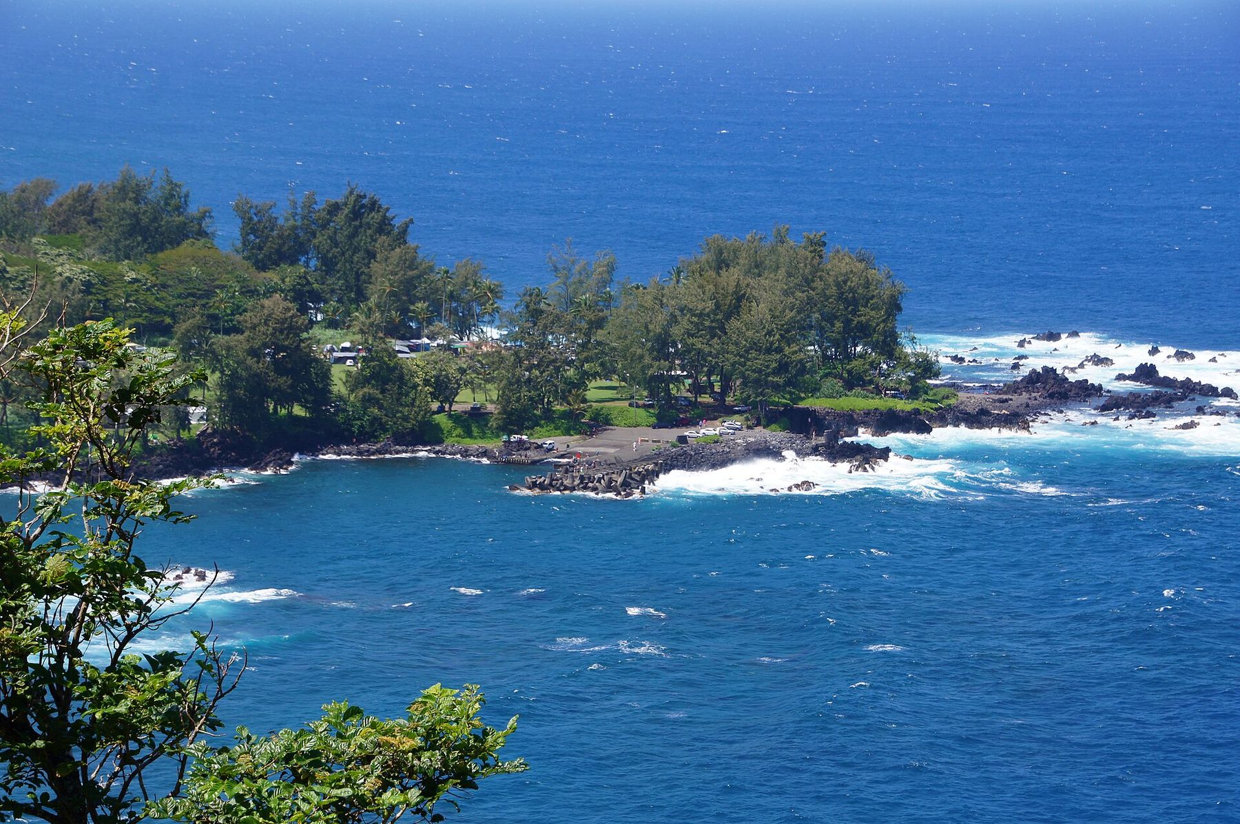 Laupāhoehoe Point seen from above: a low wooded lava peninsula edged with white surf in deep blue water.