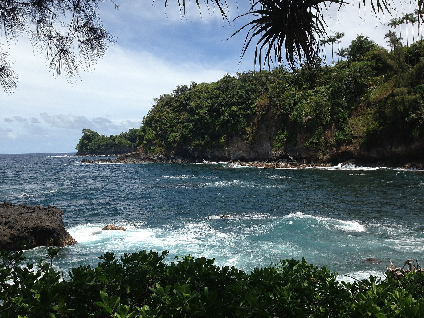 Blue water and white surf in Onomea Bay, with a forested lava headland framed by pandanus leaves.