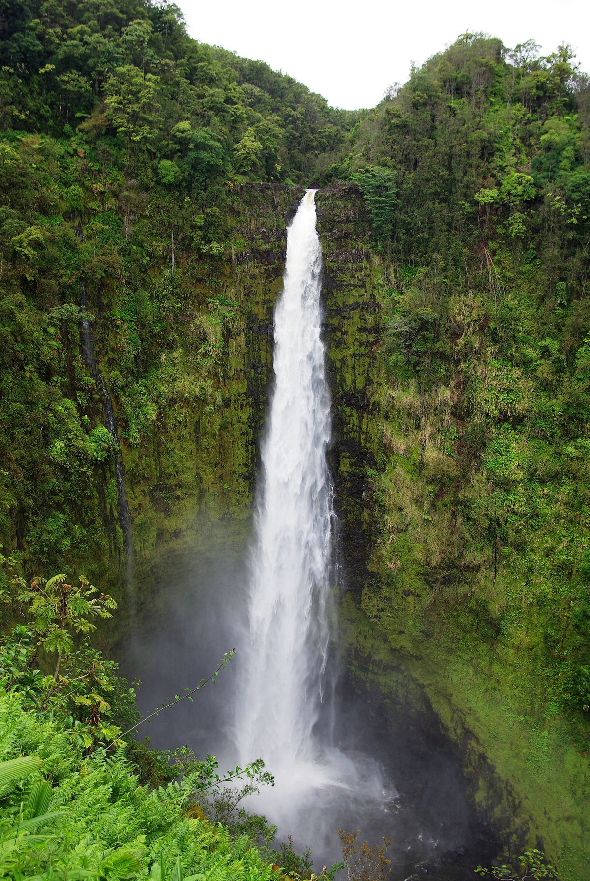 ʻAkaka Falls, a tall ribbon of white water plunging down a sheer green cliff into a misty gorge
