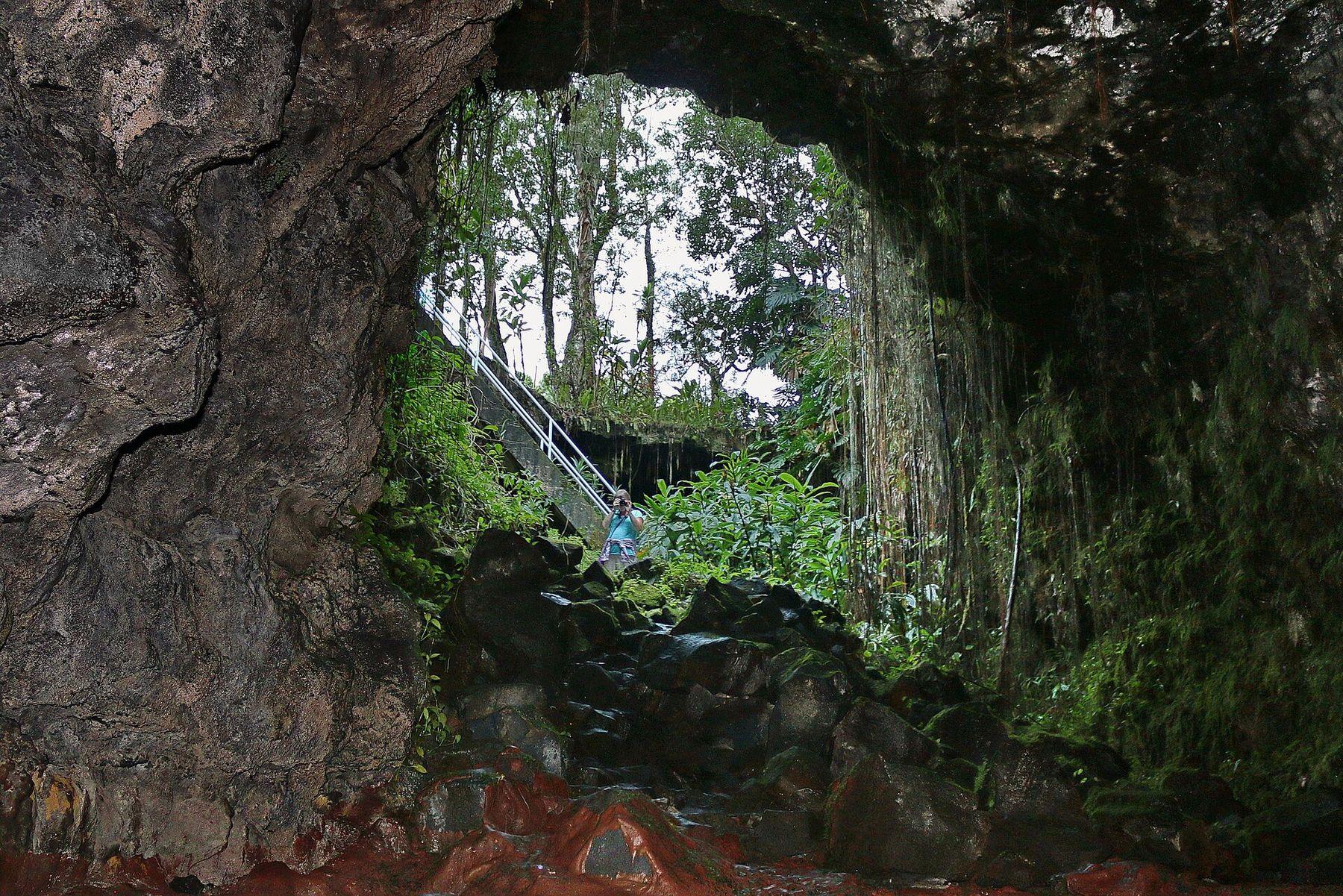 Looking out from inside the dark Kaūmana lava tube toward a skylight entrance draped in ferns and a stairway