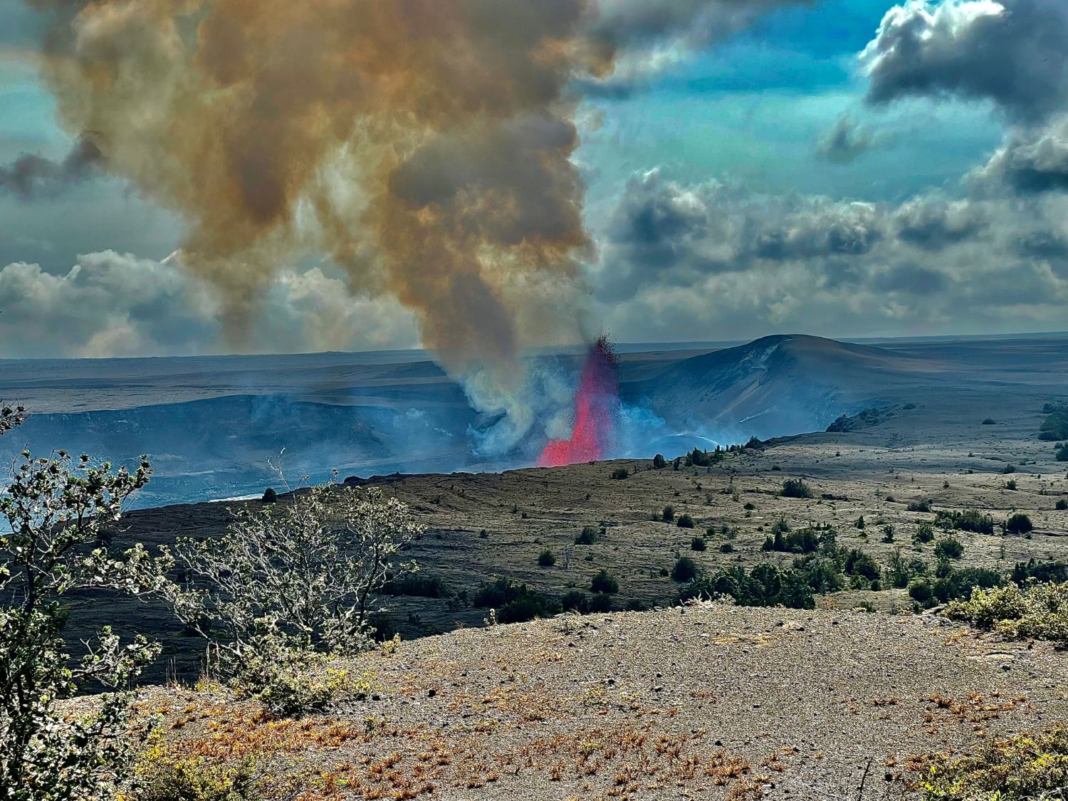 A red lava fountain erupting in Kīlauea’s summit caldera under a tall plume of brown volcanic gas, seen across scrubby rim terrain