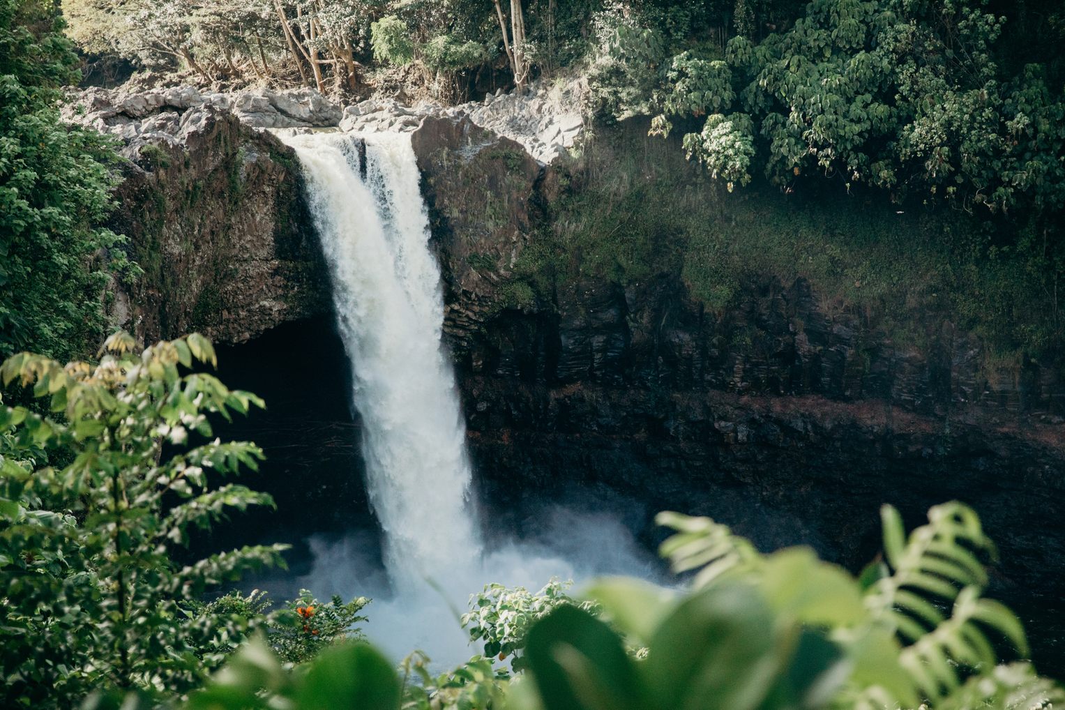 Waiānuenue (Rainbow Falls) plunging over a dark lava ledge into a misty pool, framed by ferns and trees