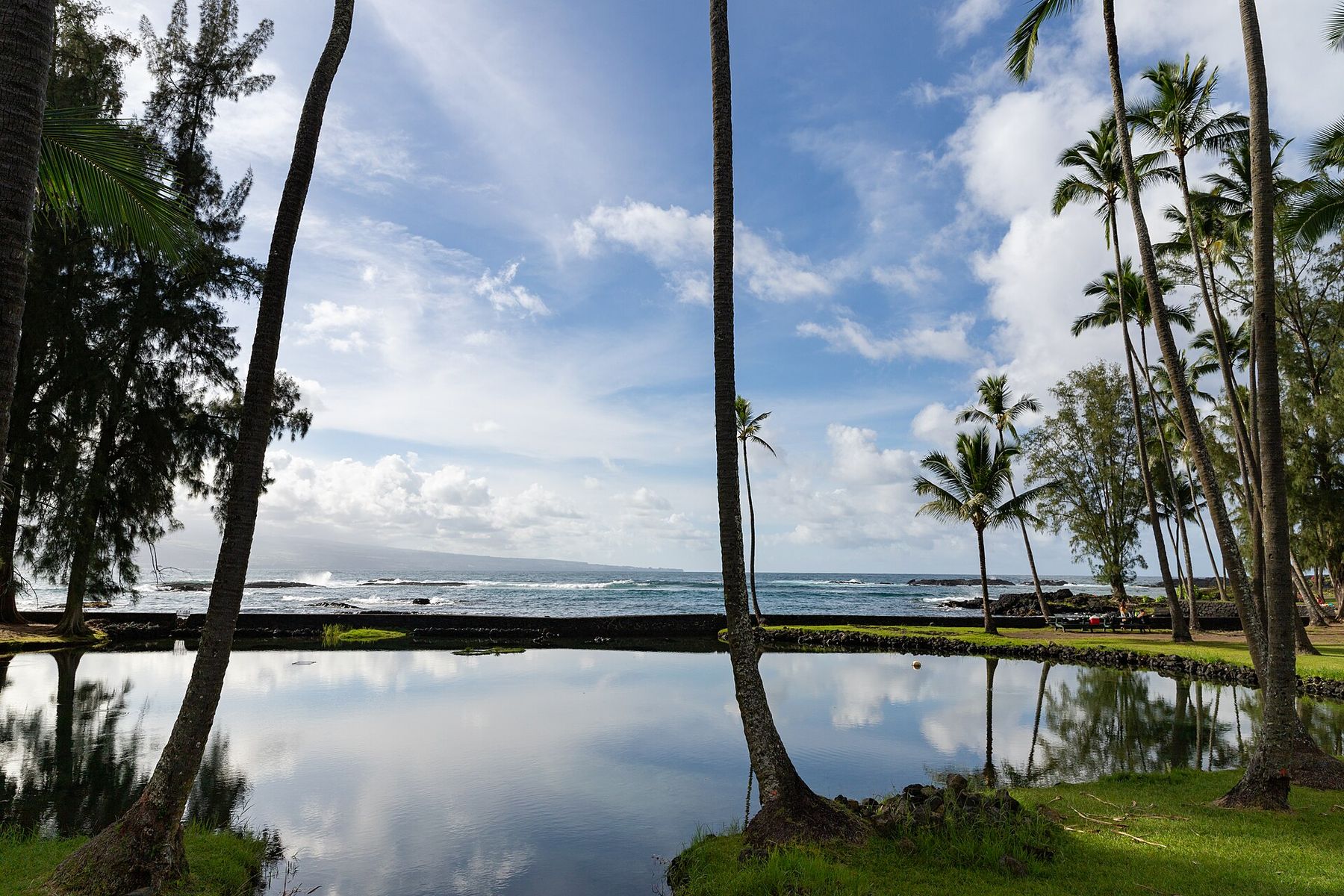 Calm lagoon with reflected palm trees and a grassy shore at Richardson Ocean Park