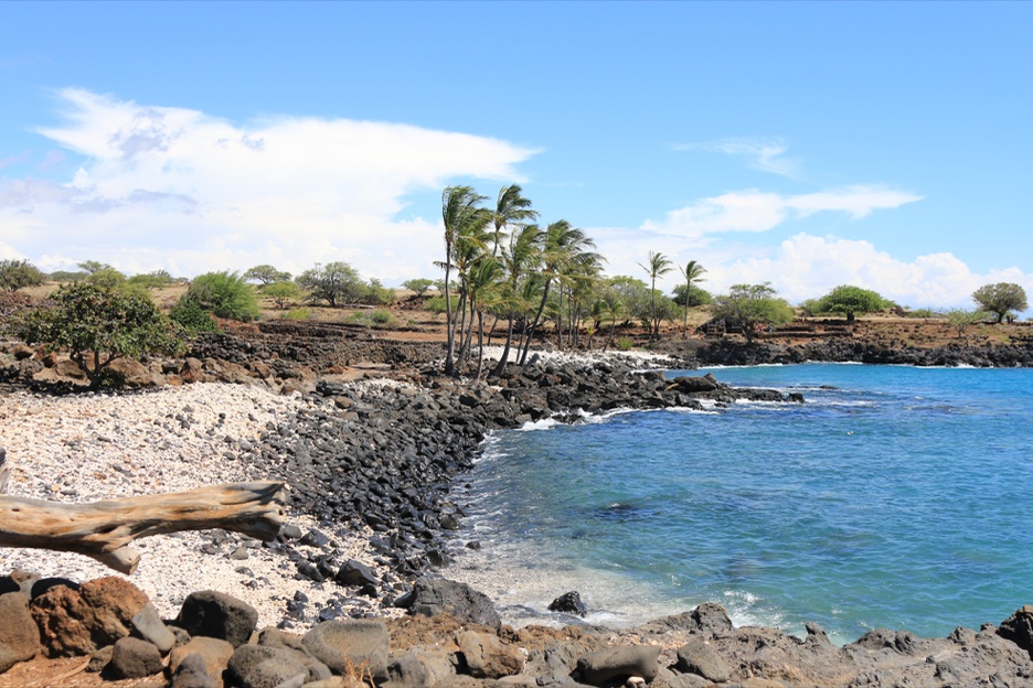 The Lapakahi shoreline with dark lava rock, palm trees, blue sea and sky