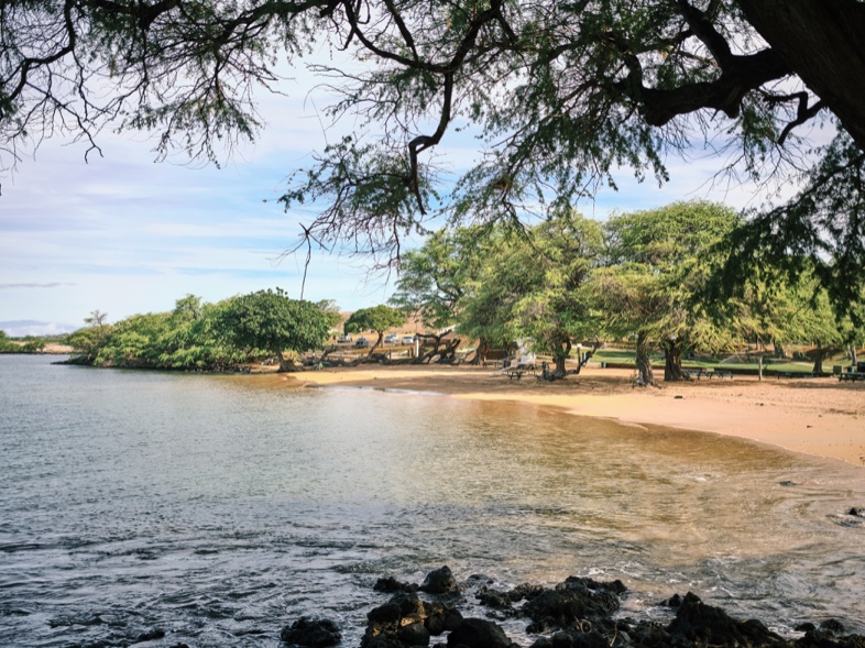 Sandy beach and blue water at Spencer Beach Park, framed by large shade trees