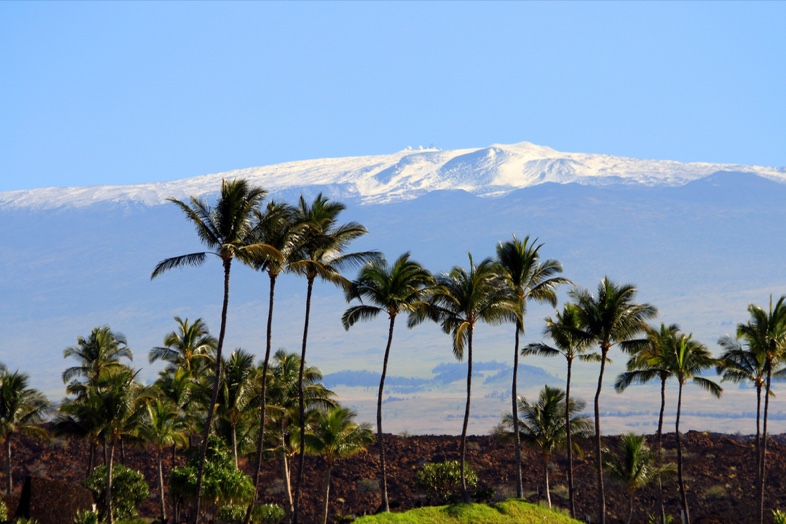 Palm trees and a dark lava shore with snow-topped Maunakea in the distance