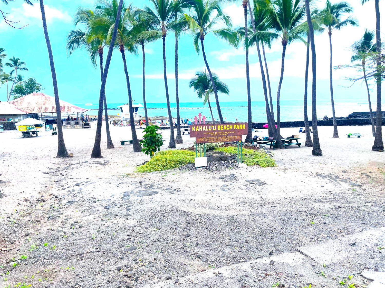 Kahaluʻu Beach Park sign among coconut palms, with the pavilion, lifeguard tower and shallow bay beyond