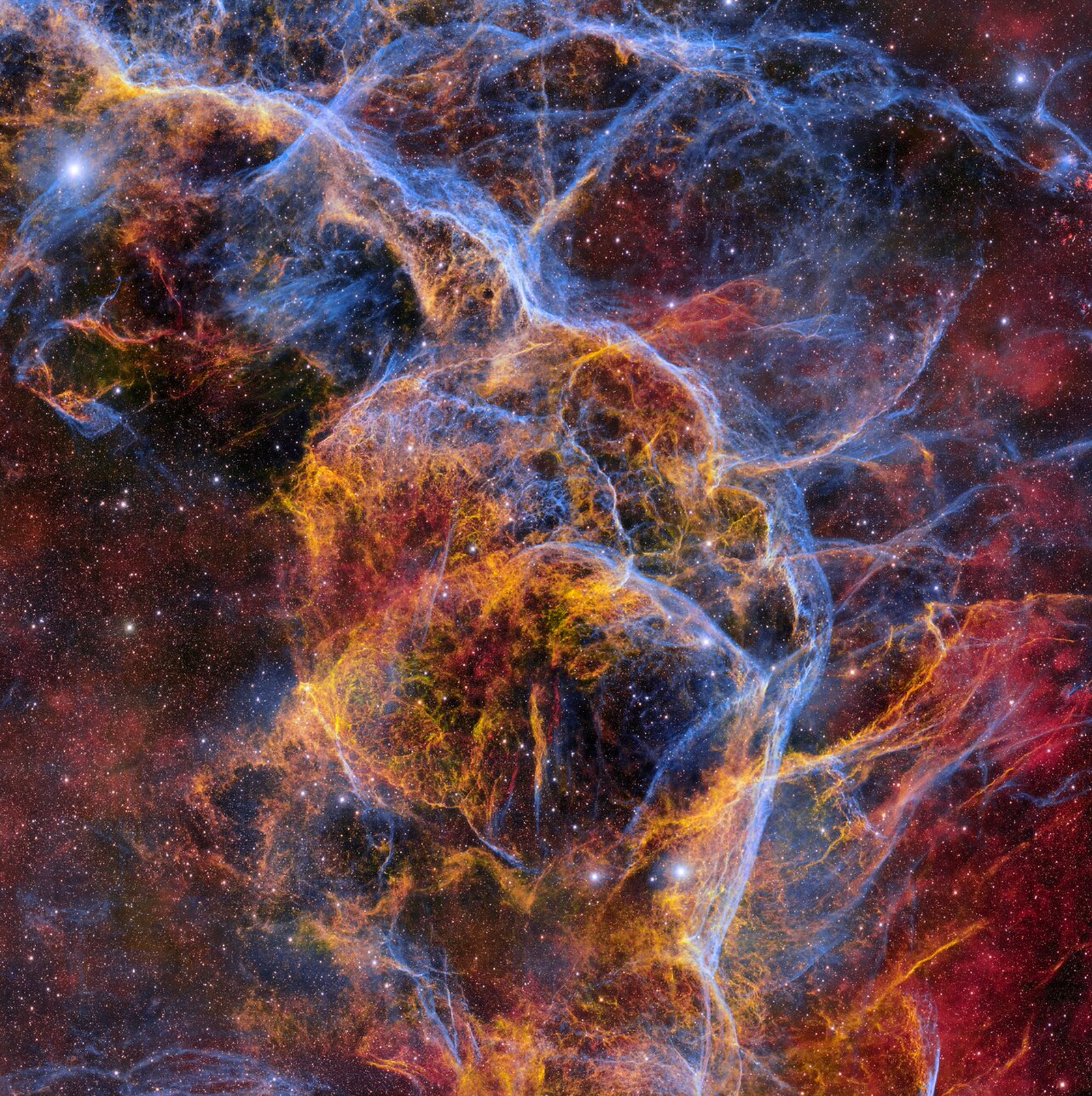 Ghostly stellar tendrils of the Vela Supernova Remnant
