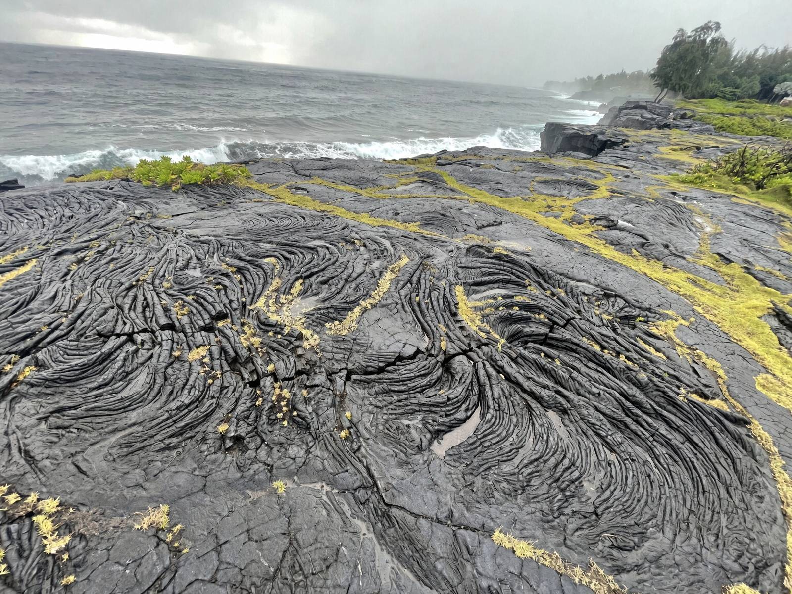 Swirling ropy pāhoehoe lava and green moss above the surf at Paradise Cliffs in Puna