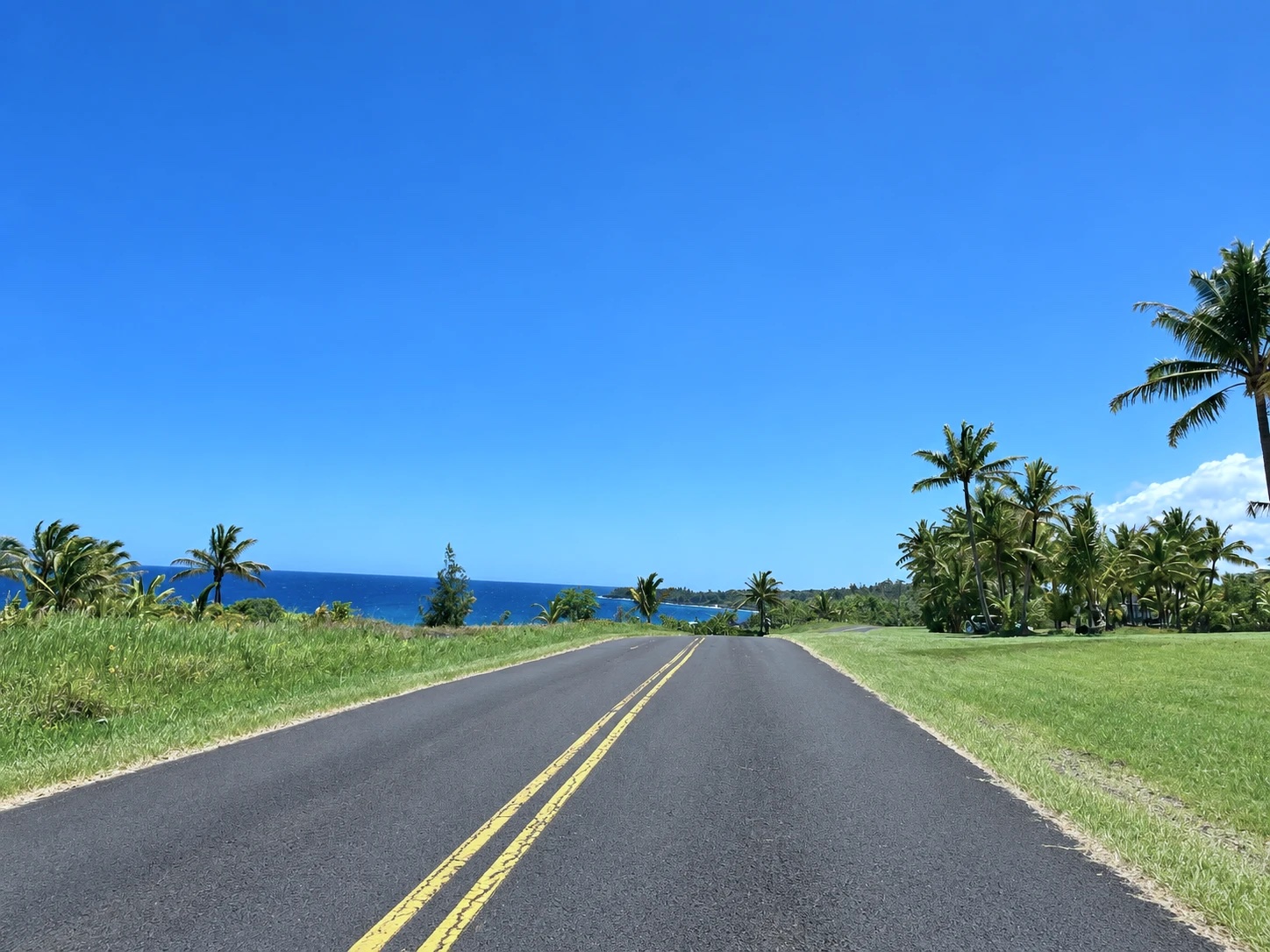 Two-lane coastal road through grass and coconut palms toward the blue Pacific in Puna