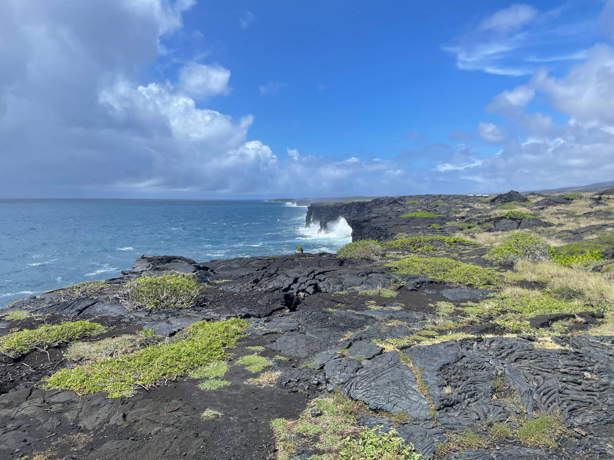 Ropy pāhoehoe lava and green shrubs on the sea cliffs at the end of Chain of Craters Road, with surf breaking below
