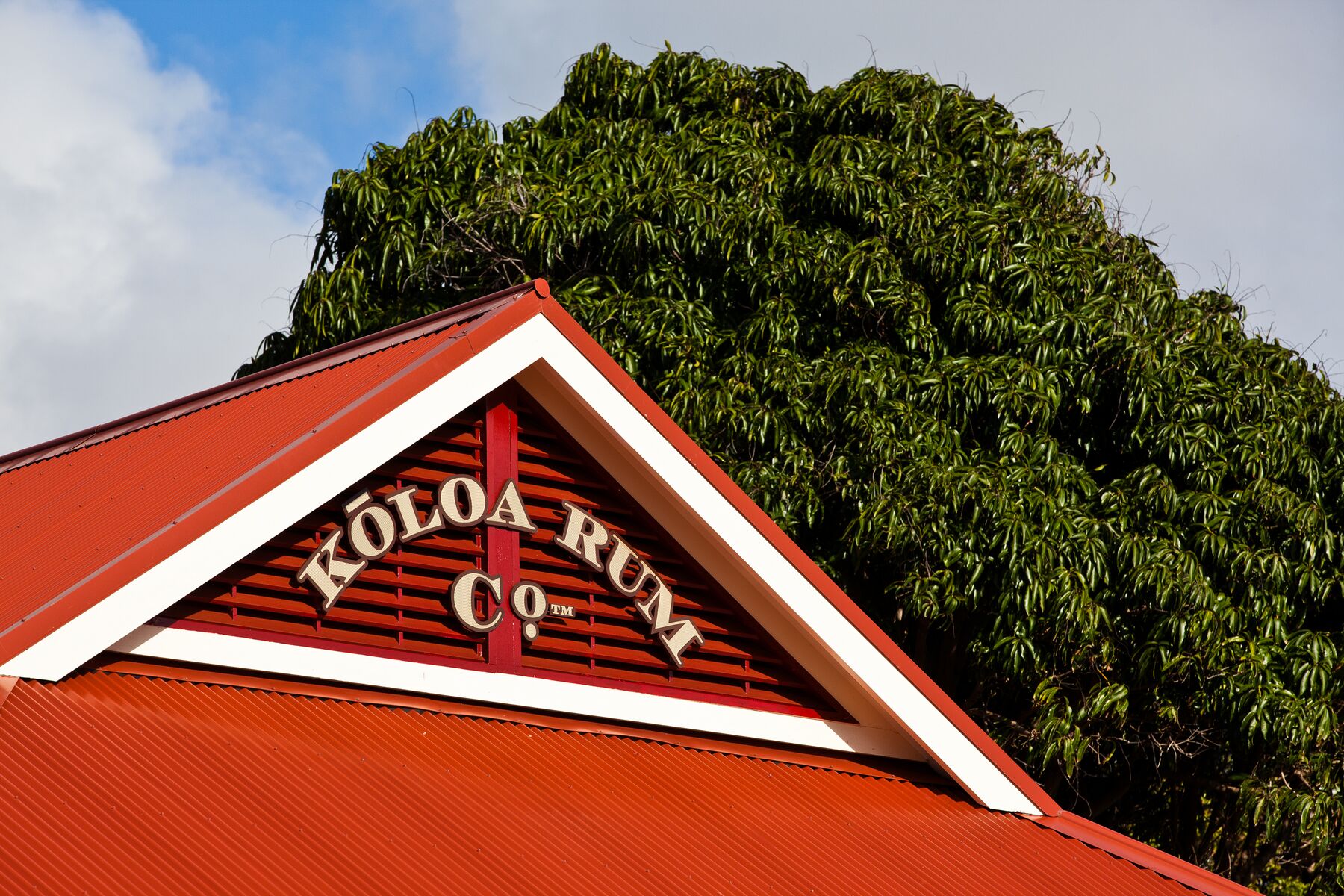 The red-roofed gable of the Kōloa Rum Co. building against a large green tree