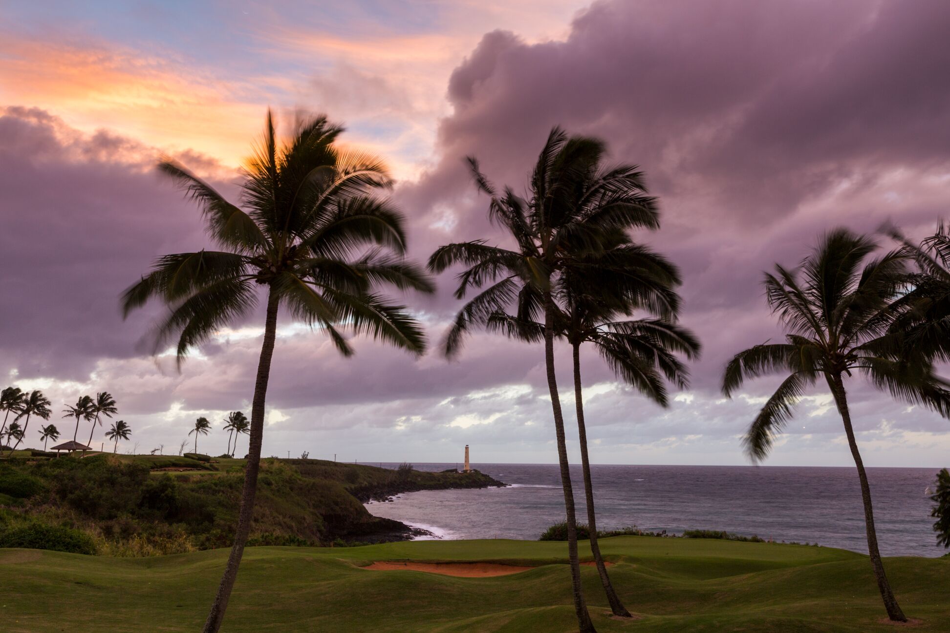 Silhouetted palm trees on a manicured lawn at twilight, with the white tower of the Ninini Point lighthouse on a dark headland across the bay under purple and orange clouds