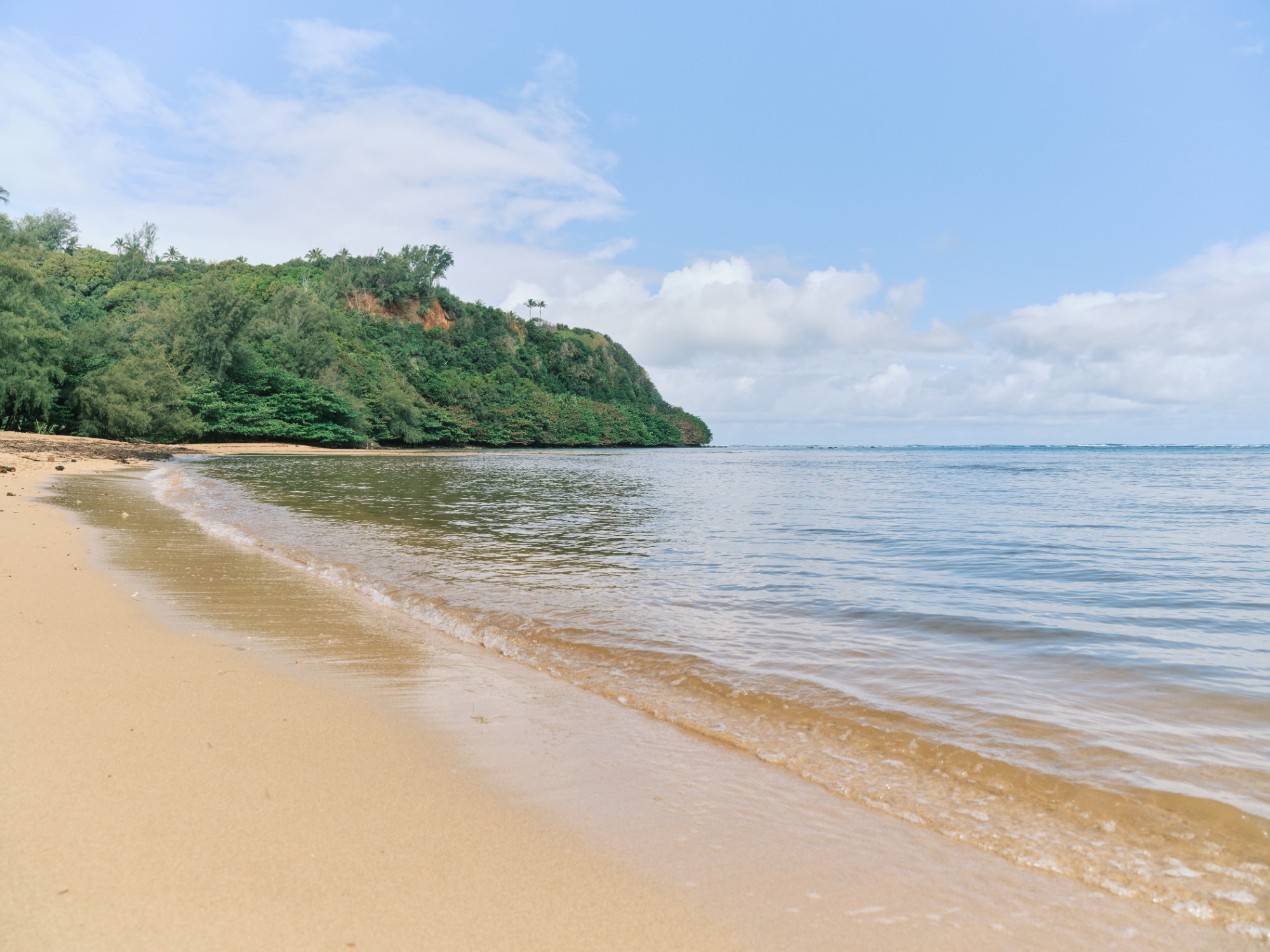 Calm, clear water lapping the sand at ʻAnini Beach below a wooded headland