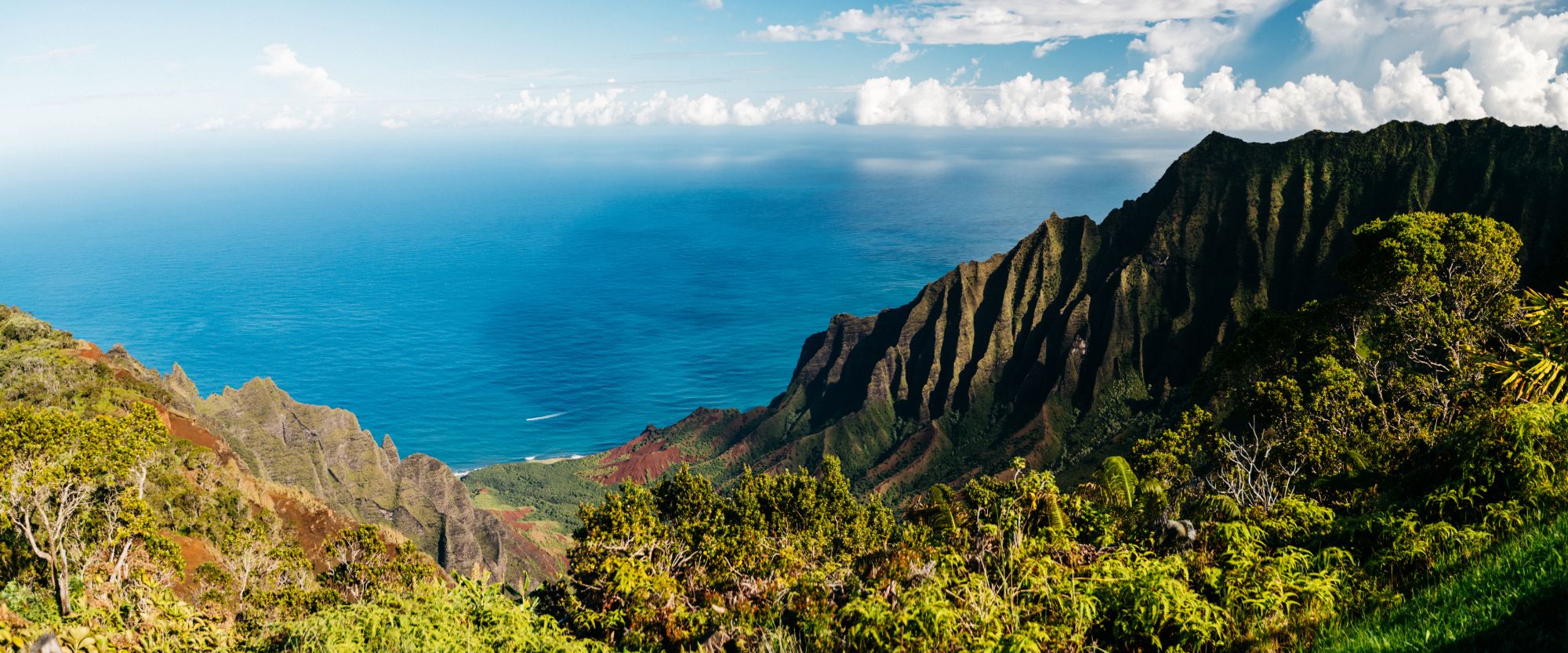 Panorama from the Kalalau Lookout: sharp, fluted green ridges of the Nāpali Coast drop to a deep blue ocean, with forest in the foreground and clouds on the horizon