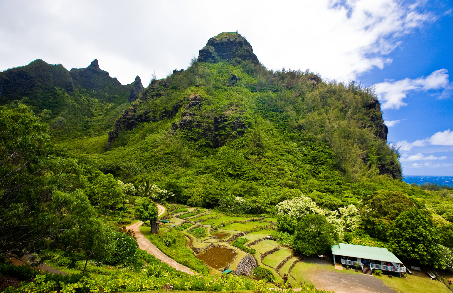 Stone-walled loʻi kalo terraces at Limahuli Garden below a steep green peak, with the ocean beyond