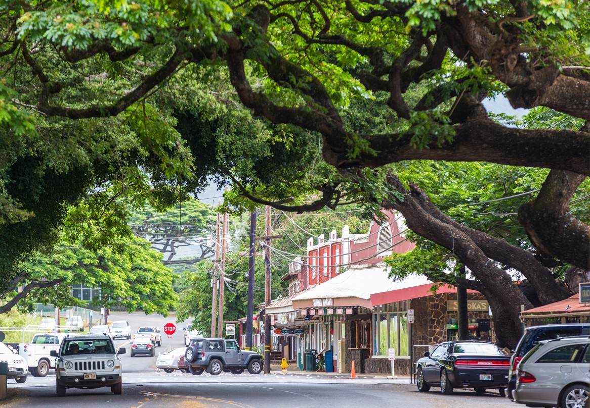 Old Kōloa Town’s main street under spreading monkeypod branches, with plantation-era storefronts and parked cars