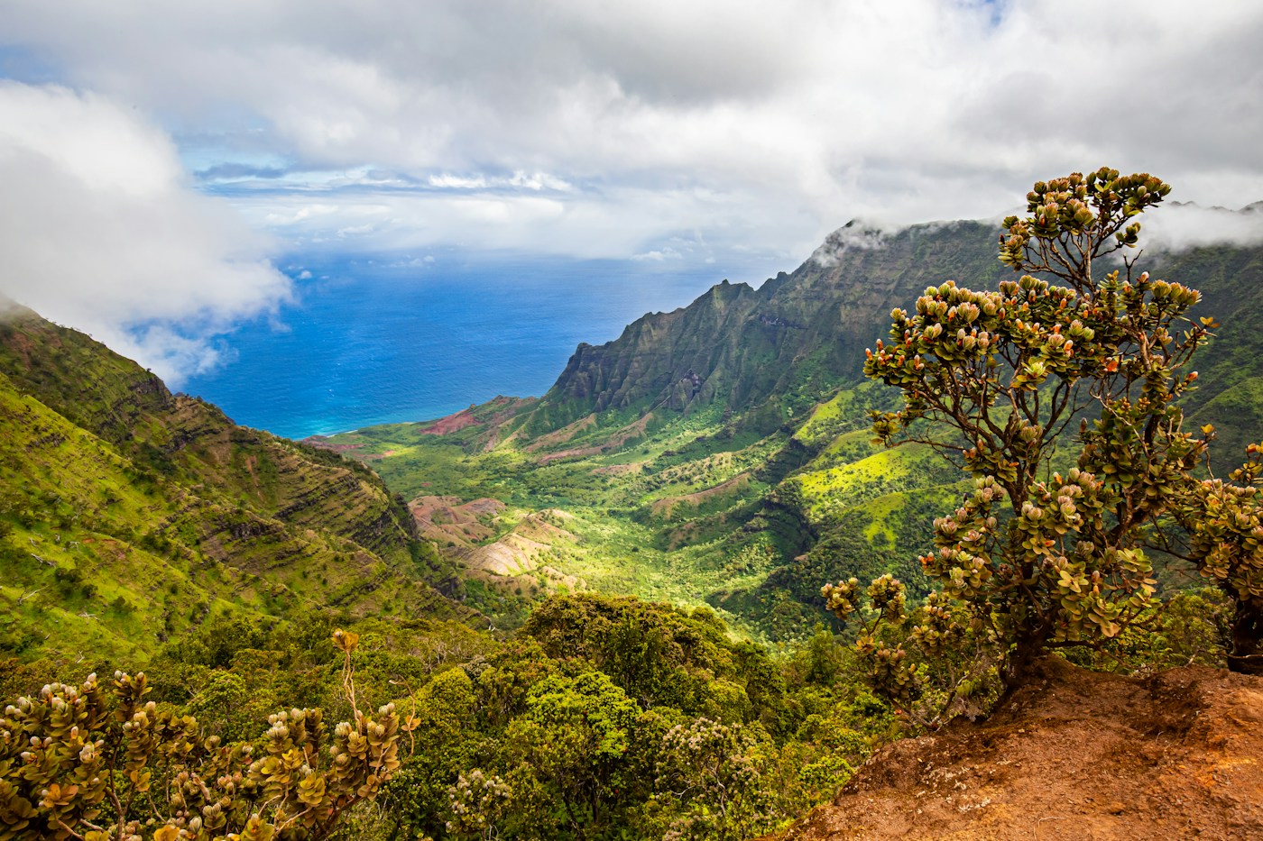 Kalalau Valley viewed from the high country above the Nāpali Coast
