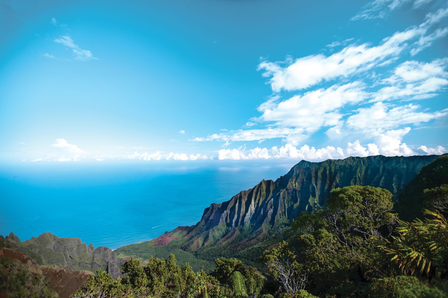 Dense green forest on the rim above Kalalau Valley, with steep Nāpali ridges running down to a bright blue ocean under white clouds