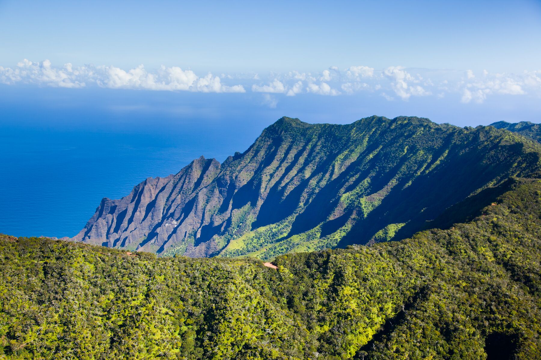 The fluted green ridges of Kalalau and the Nāpali Coast run down to a deep blue ocean, with forest in the foreground