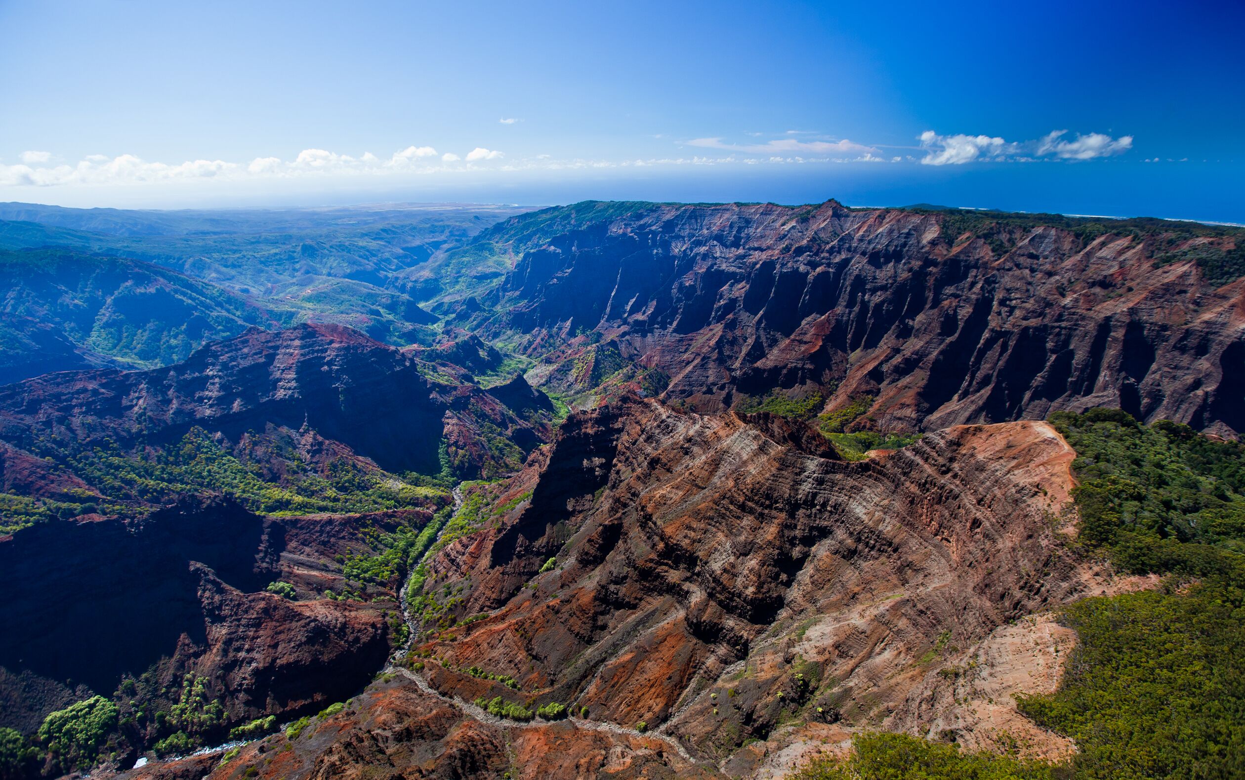 Looking across Waimea Canyon from a high rim viewpoint: rust-red and brown ridges streaked with green fall away into deep ravines, with a strip of ocean on the far horizon under a blue sky