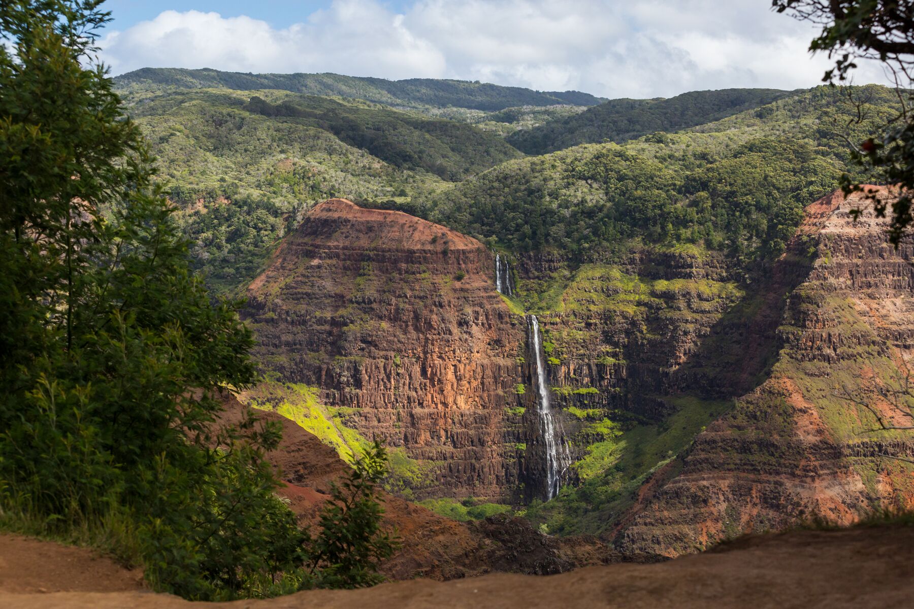A thin white waterfall drops down a sheer, red-brown wall in Waimea Canyon, framed by trees at the canyon rim, with green forest on the ridges above