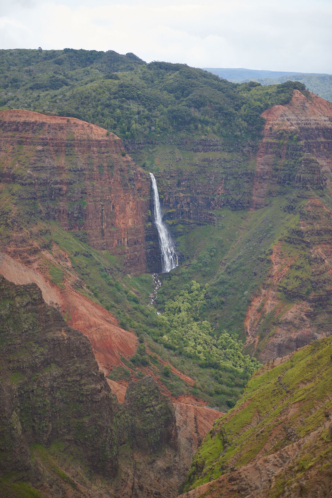 A tall, thin waterfall drops down a red cliff into a green side canyon of Waimea Canyon