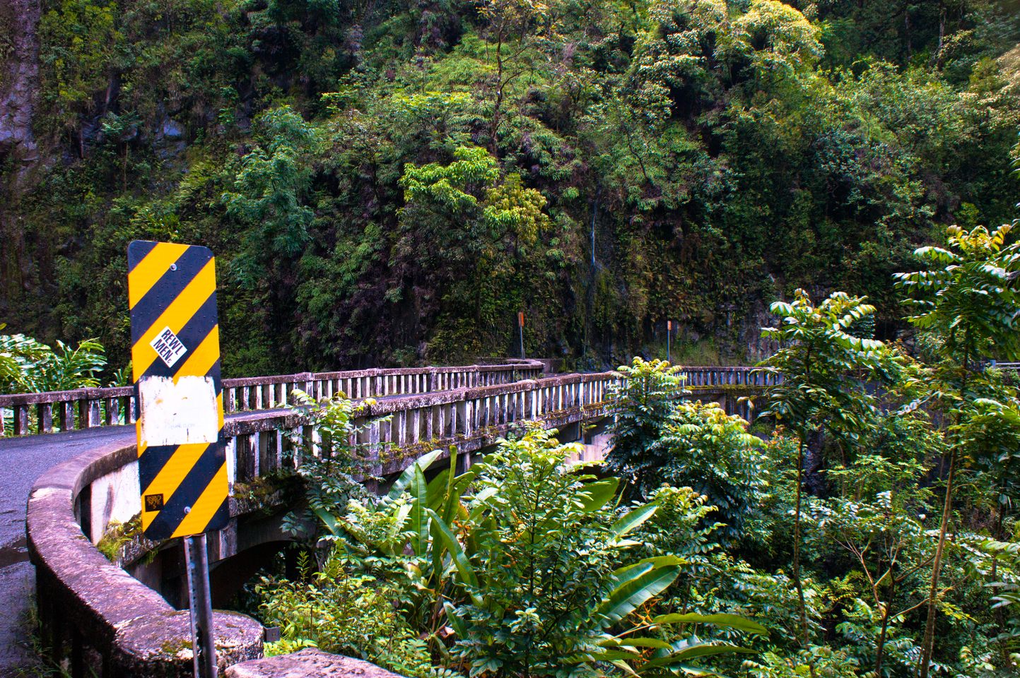 A narrow concrete one-lane bridge on the Hāna Highway, surrounded by dense rainforest, with a yellow hazard sign