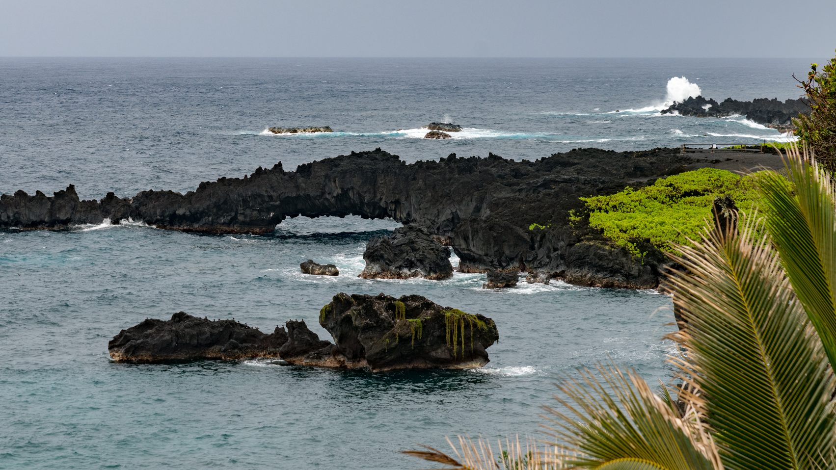 A natural sea arch in black lava rock at Waiʻānapanapa State Park, with white surf and green groundcover