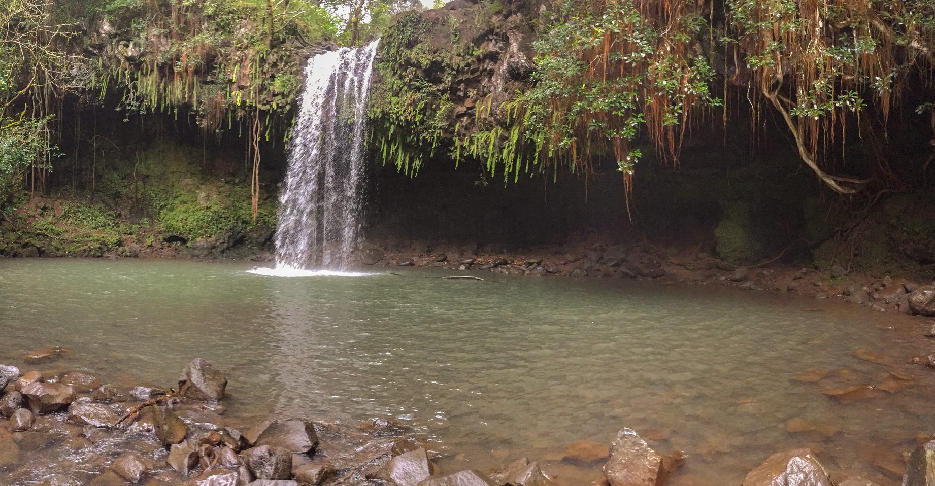 A waterfall pouring into a green pool beside the Road to Hāna