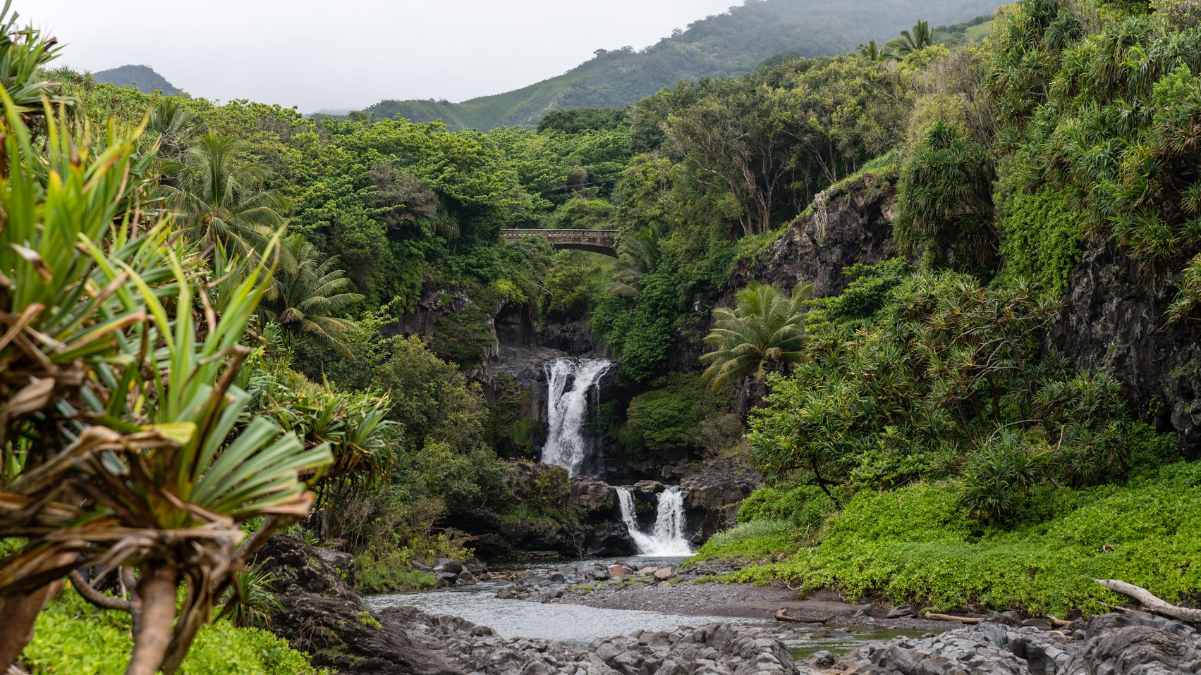 The tiered Pools of ʻOheʻo in Kīpahulu, with waterfalls dropping through green forest