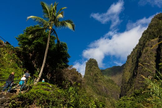 A palm and green ridges below Kūkaʻemoku, the ʻĪao Needle, in ʻĪao Valley
