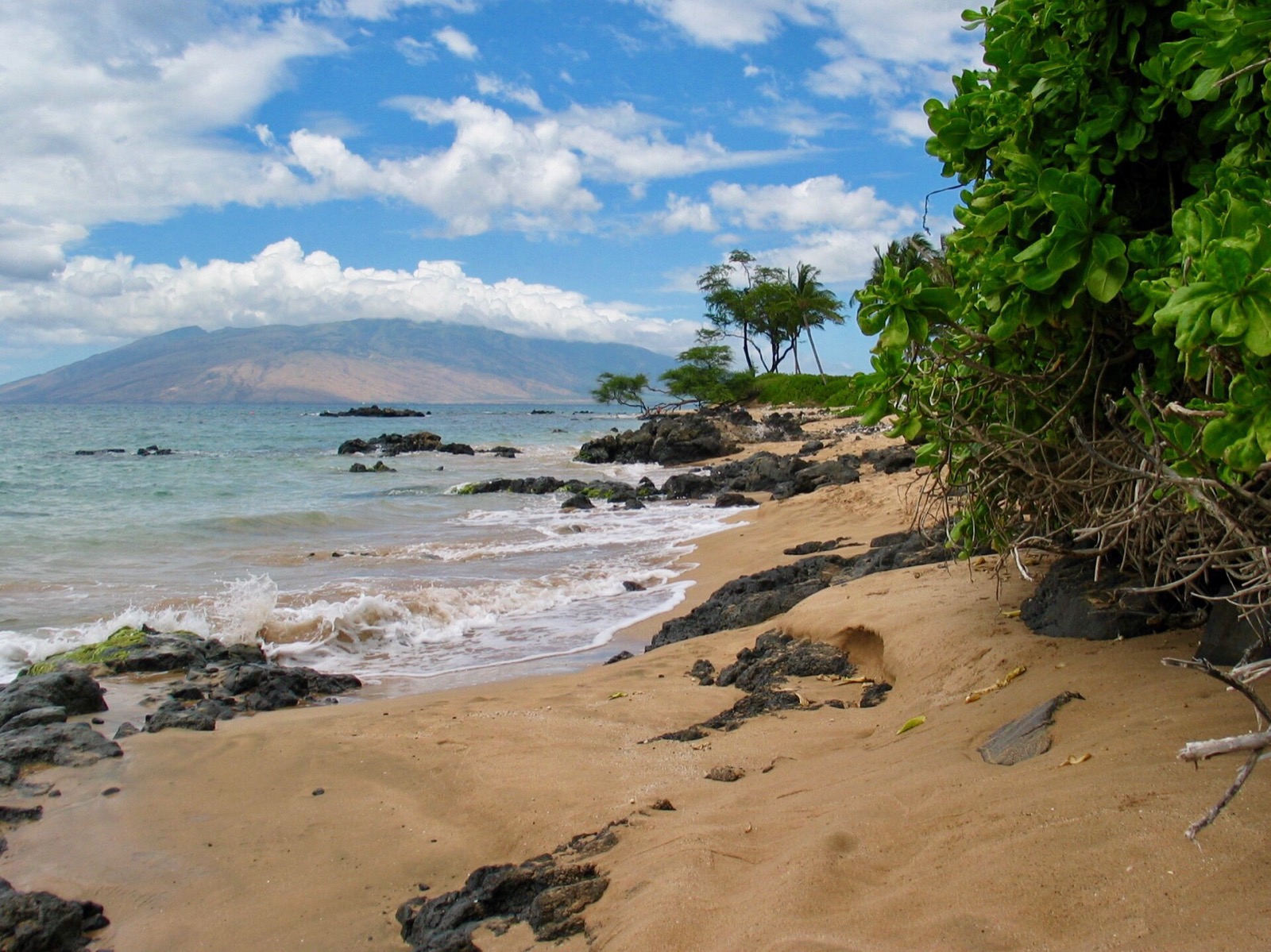 Sandy Kīhei shoreline with black lava rocks, gentle surf and beach naupaka, looking across the water to the West Maui Mountains