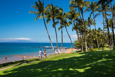 People walking along the Wailea shoreline beside palms and a green lawn