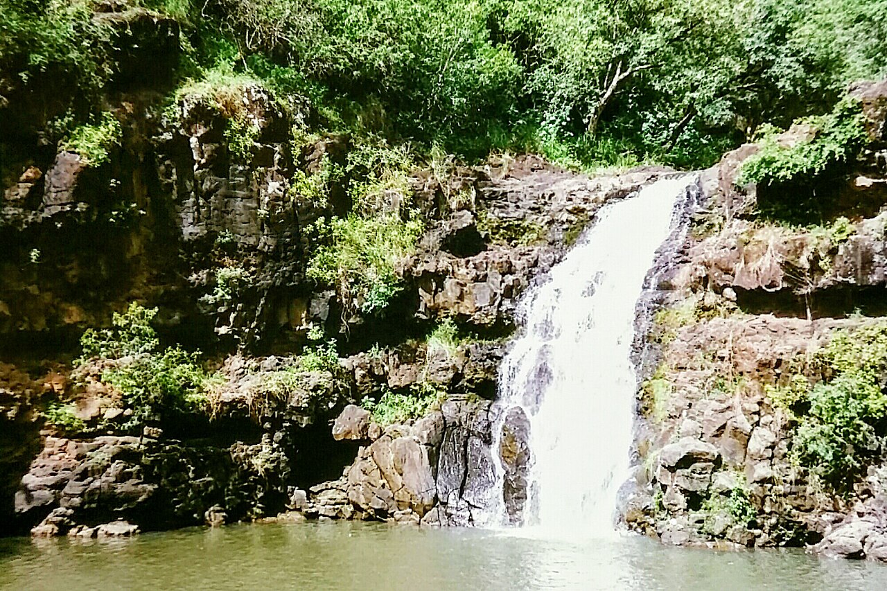 Waterfall in the green forest of Waimea Valley