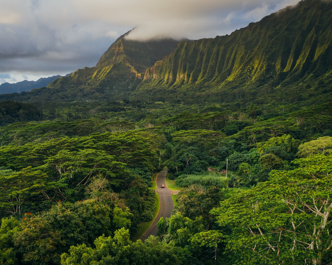 Road through dense green forest beneath the fluted Koʻolau cliffs at Hoʻomaluhia Botanical Garden