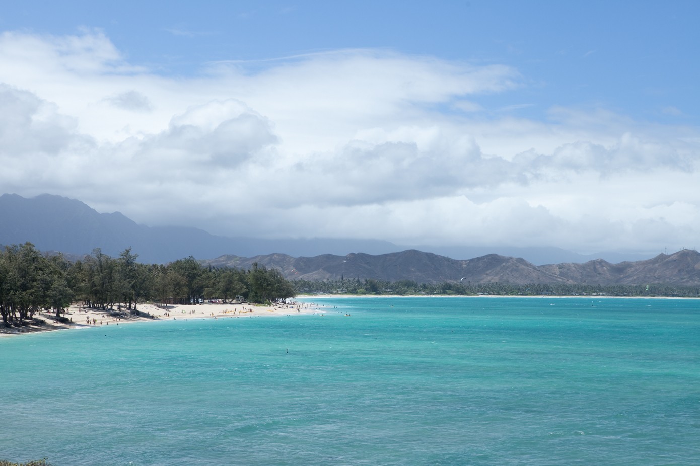 Turquoise water curving along the sand and ironwood trees of Kailua Beach Park, with the Koʻolau mountains beyond