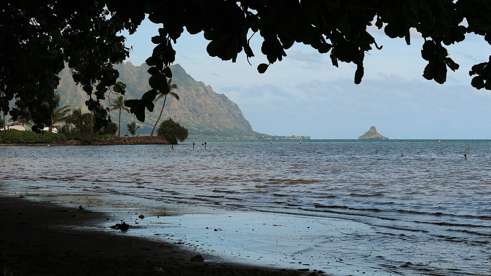 Calm water of Kāneʻohe Bay framed by overhanging leaves, with Kualoa’s ridges and Mokoliʻi island in the distance